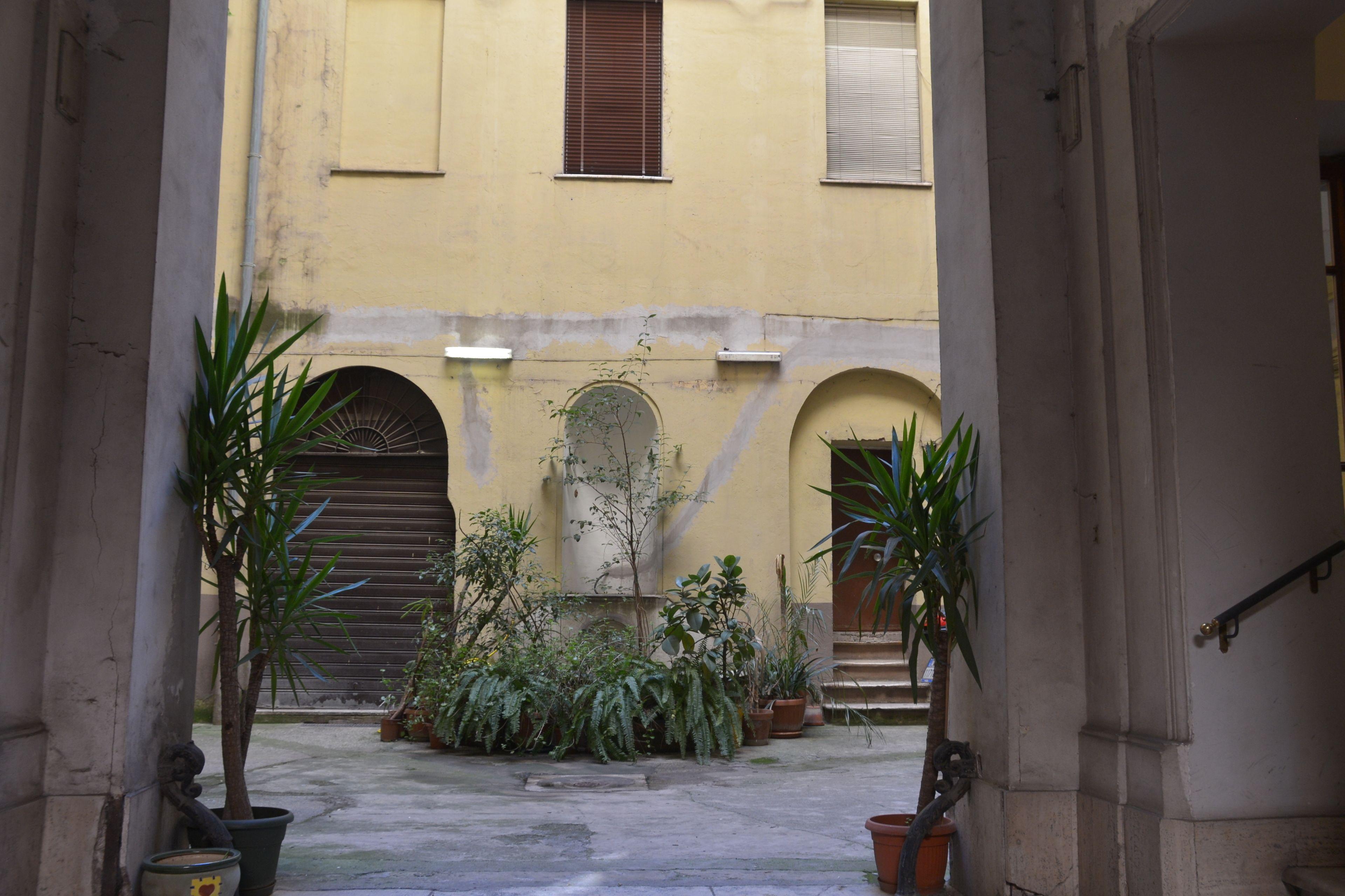 Beautiful Colosseum Roma — Photos 3